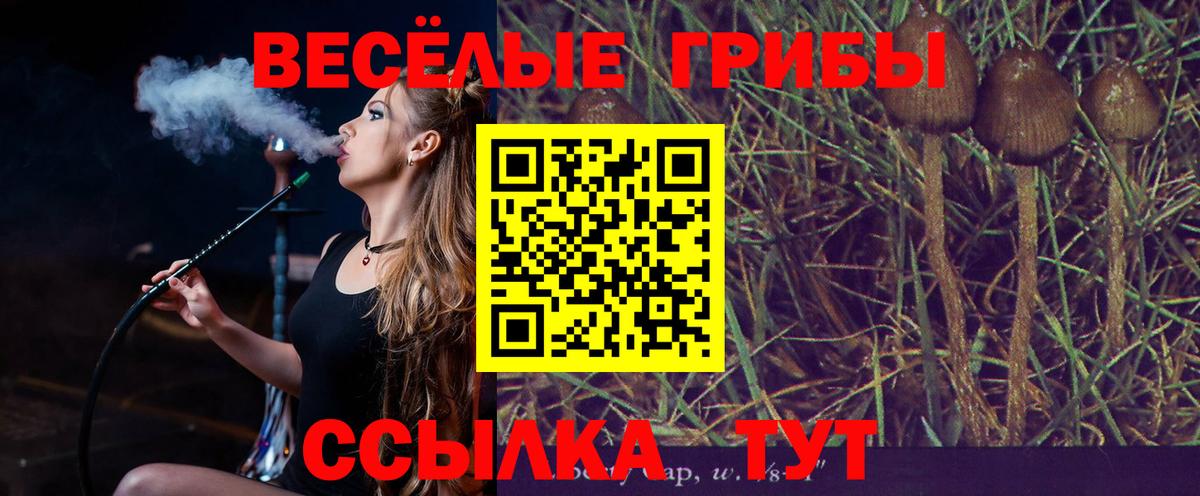 Ржев  Псилоцибиновые грибы мухоморы  Вход с VPN 