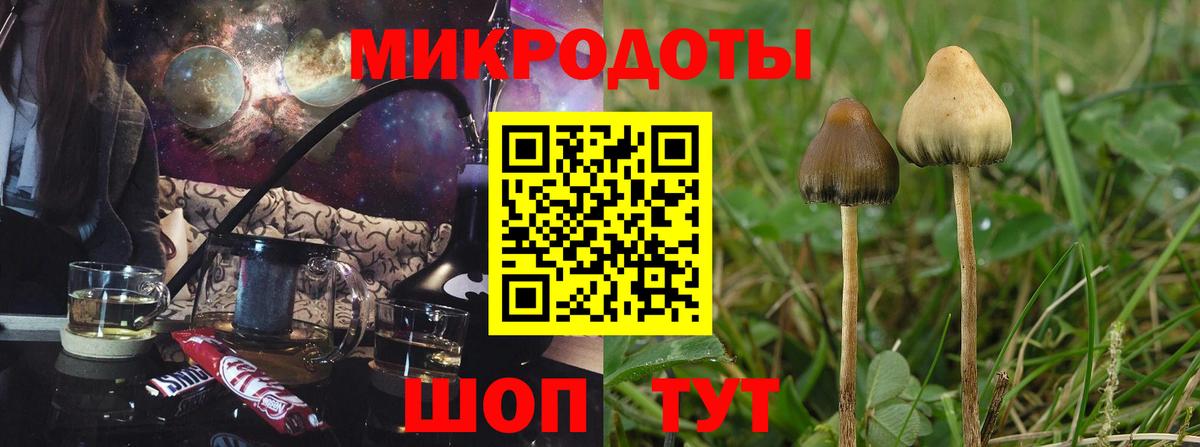 Псилоцибиновые грибы ЛСД Ржев